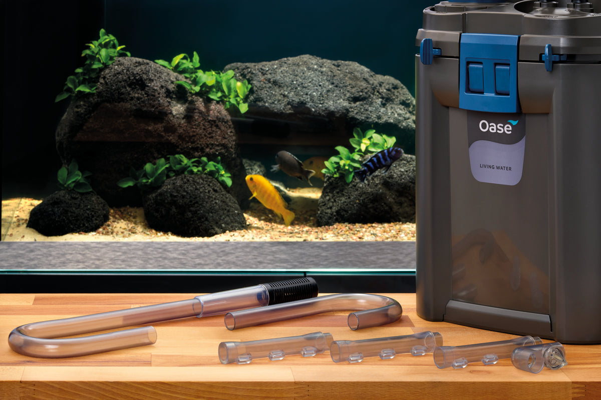 Oase BioMaster² 250