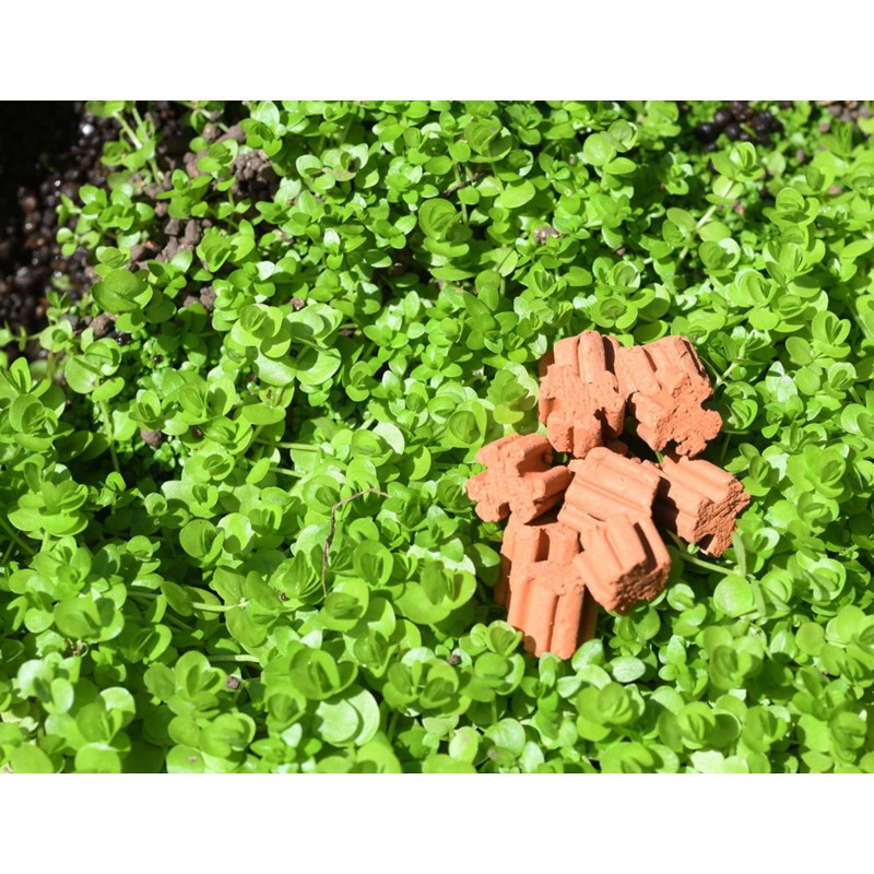 AquaRio Neo Media SOFT PREMIUM - 5L