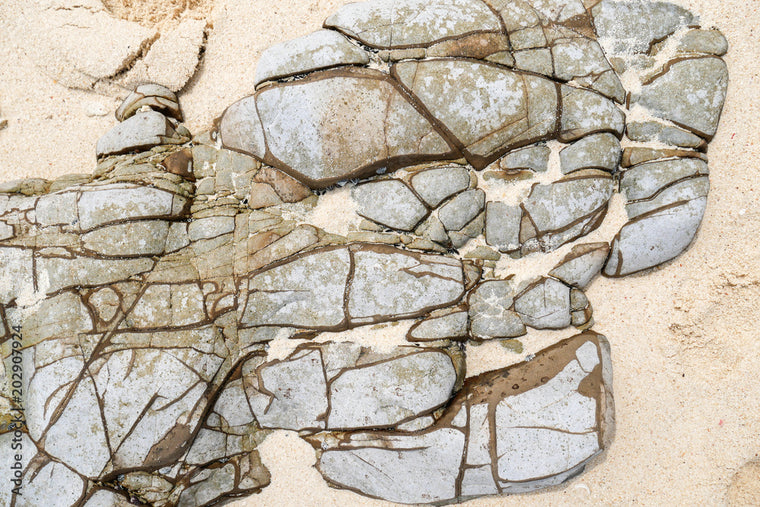 Hardscape