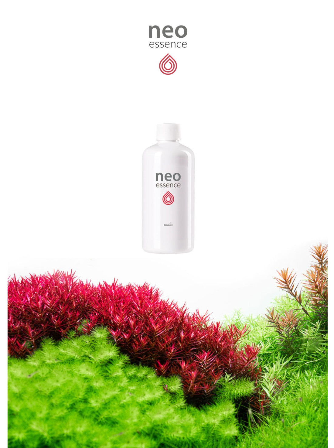 AquaRIO Neo Essence