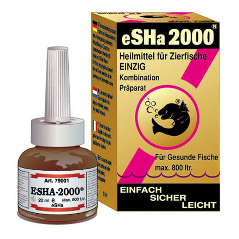 eSHa 2000