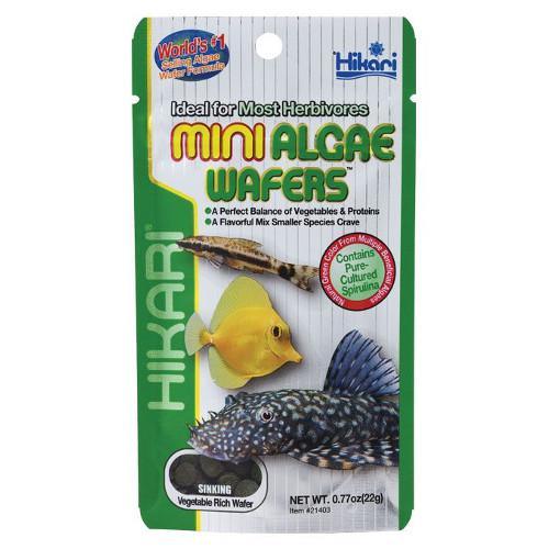 Hikari Mini Algae Wafers - Living Aqua